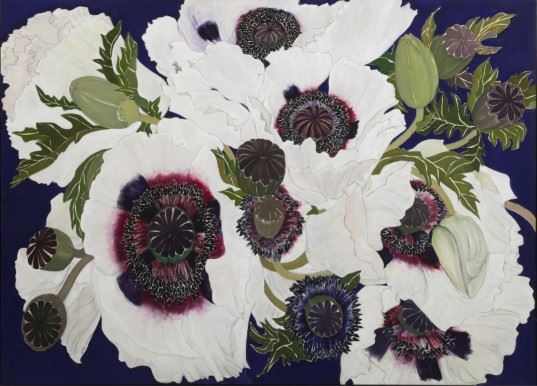 Popp Concert by Helen Lucas