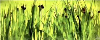 Peter Hogg  Tall Grass Photograph - Peter Hogg