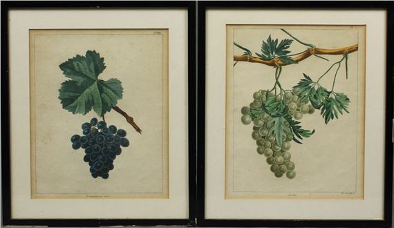 2 sheets - Johann Theodor Susemihl