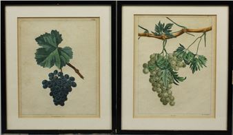 2 sheets - Johann Theodor Susemihl