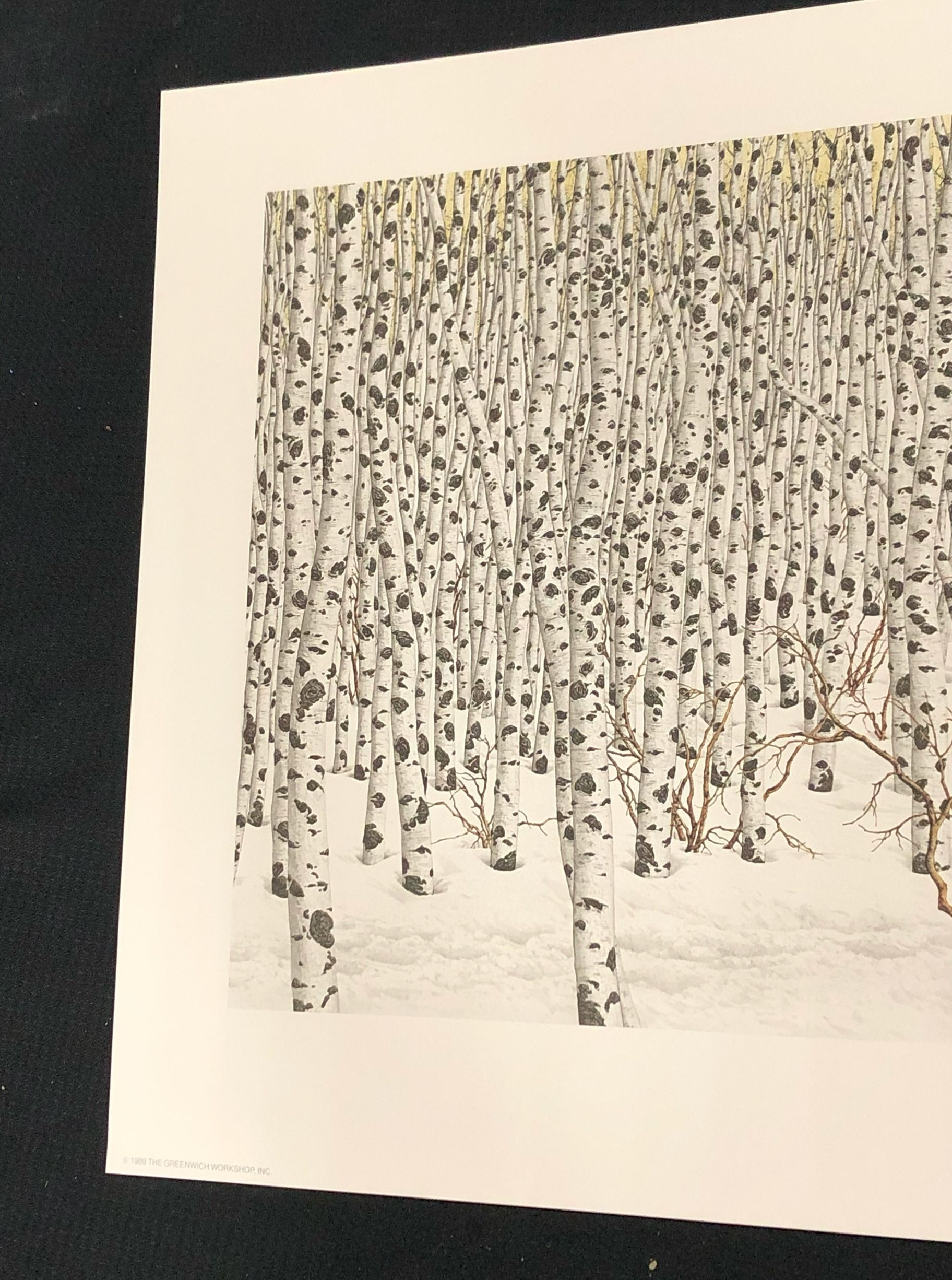 Artwork by Bev Doolittle, Sacred Ground, Made of Lithograph