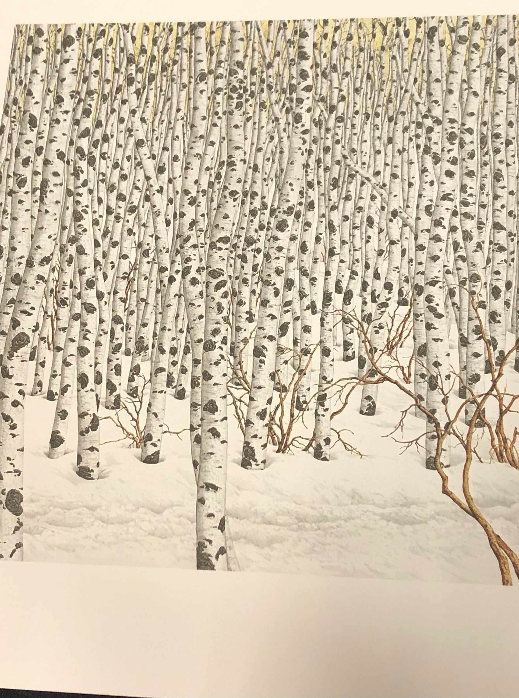 Artwork by Bev Doolittle, Sacred Ground, Made of Lithograph