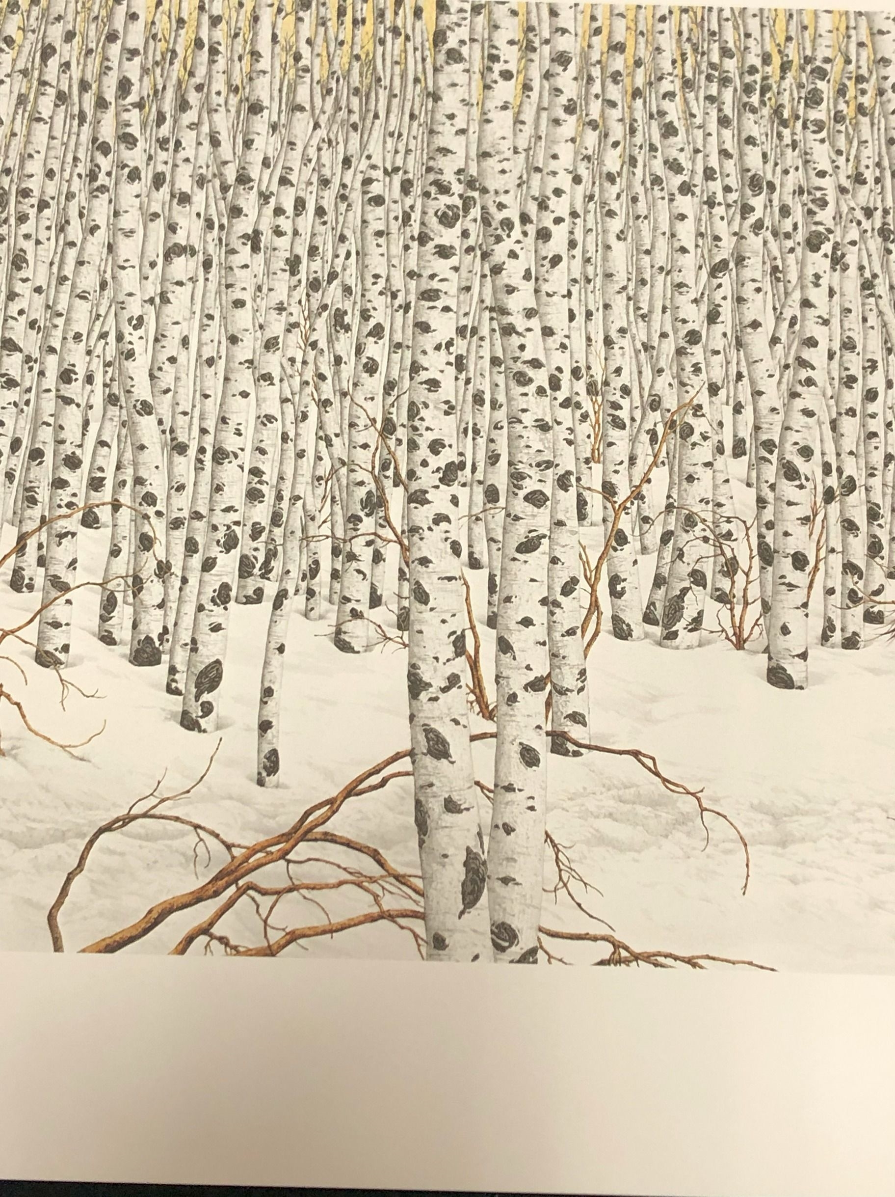 Artwork by Bev Doolittle, Sacred Ground, Made of Lithograph