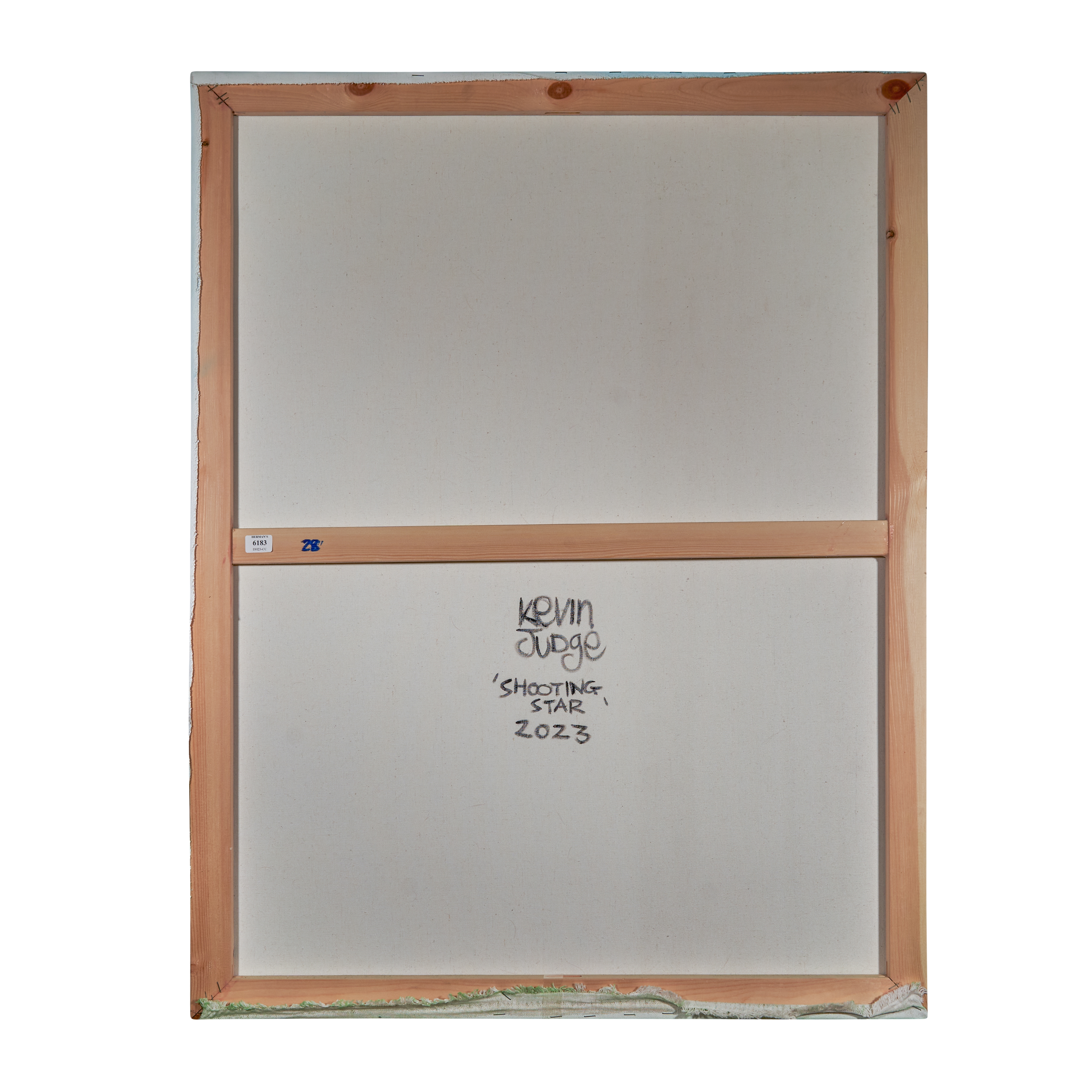 Artwork by Kevin Judge, Shooting Star, Made of oil and acrylic on canvas