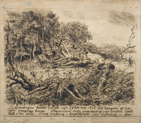 1938) Fallen Tree - Selskovgen Drypoint etching - Niels Skovgaard
