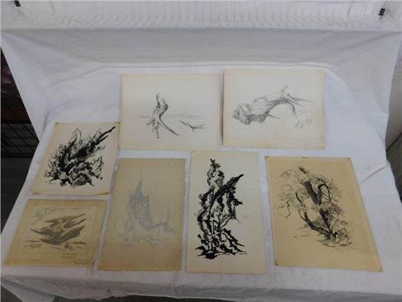 James Kirk Merrick | 7 James Kirk Merrick; Nature Drawings | MutualArt