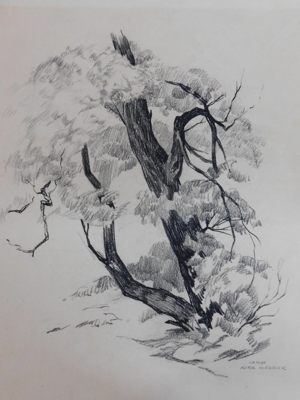 James Kirk Merrick | 7 James Kirk Merrick; Nature Drawings | MutualArt