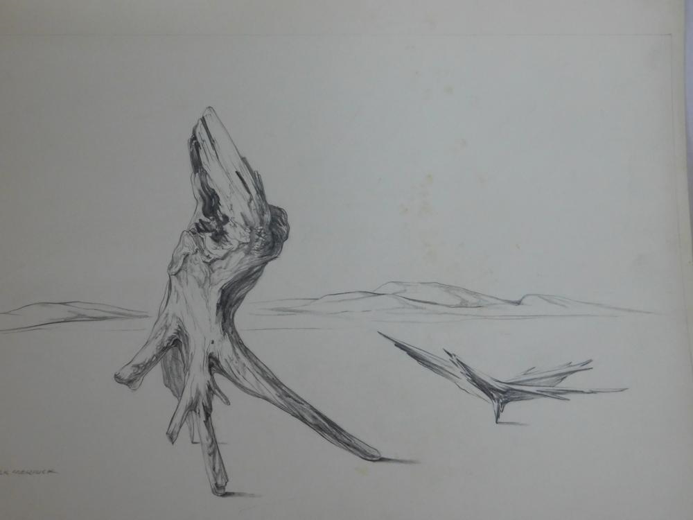James Kirk Merrick | 7 James Kirk Merrick; Nature Drawings | MutualArt