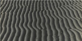 Alfred Ehrhardt: Wind, Sand and Water - Pinakothek der Moderne