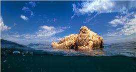 Juana Valdés: Embodied Memories, Ancestral Histories at the Sarasota Art Museum of Ringling College, Sarasota