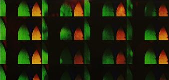 Evidence: Soundwalk Collective & Patti Smith - MAC/CCB Museum of Contemporary Art