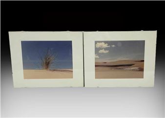 Desert Landscape - Cam Mckenzie