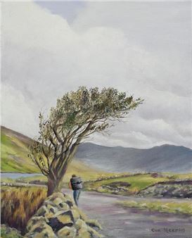Ashby Falls, Connemara - Eva Heeran