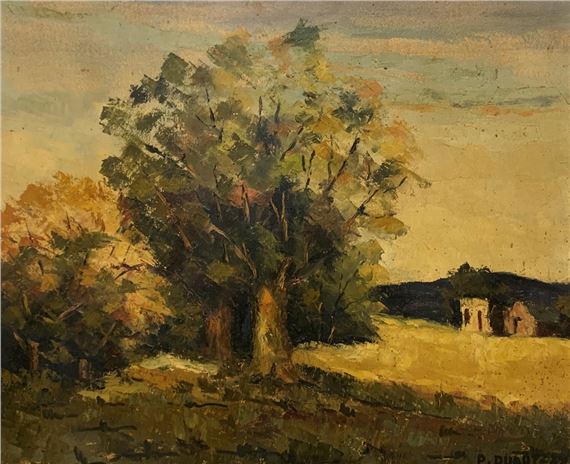 Campo by Pedro Duarte