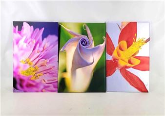 Lavender Swirl" & More - Jack Kramer