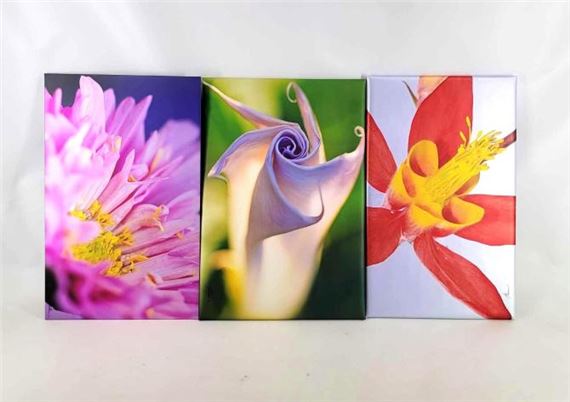 Lavender Swirl" & More - Jack Kramer