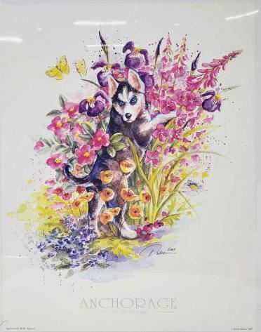 Late Bloomer (Husky Pup)