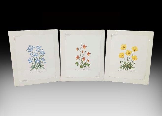 Artwork by Carol Dickerson, Forget-Me-Not, Columbine, & Cosmos, Made of Print