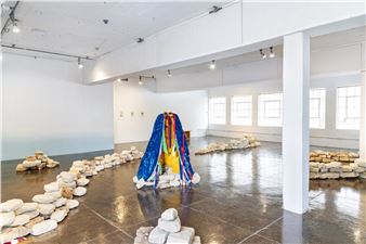 Alexandra Robinson: This land is my land \ this land is your land - Artpace San Antonio