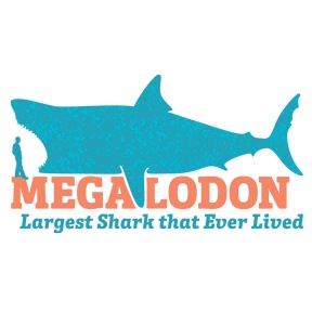 Megalodon: Largest Shark That Ever Lived - MOAS, Museum of Arts and Sciences