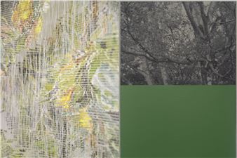 Stijn Cole & Elise Peroi: Gardening the forest - Irene Laub Gallery