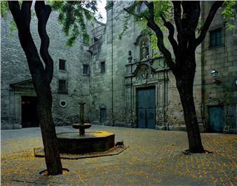 Michael Eastman: 50 Years of Photography – The Colors and Textures of Time - Holden Luntz Gallery