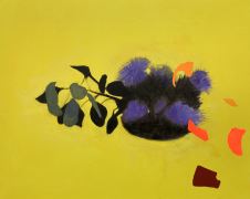 Chosen Terrain - Falmouth Art Gallery