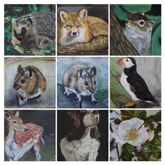 Dominic McNamara: Ireland Wildlife and Nature - The Hunt Museum