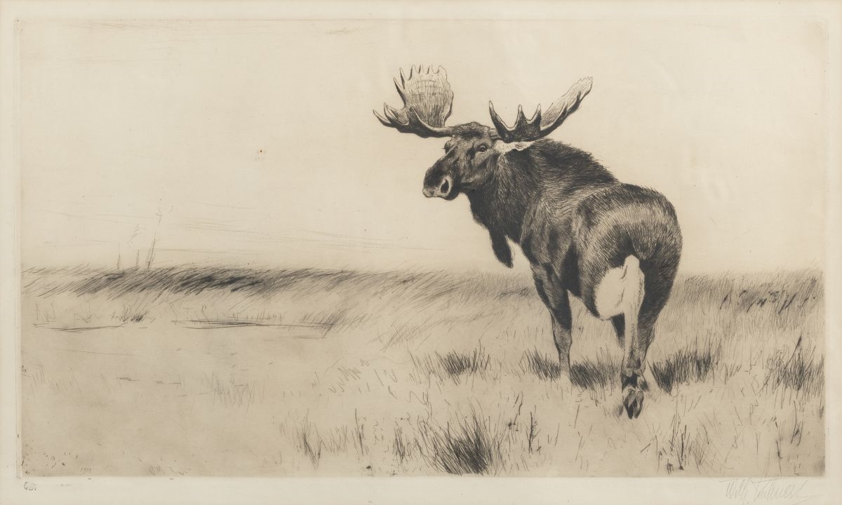 Moose by Wilhelm Kuhnert, dated 1924