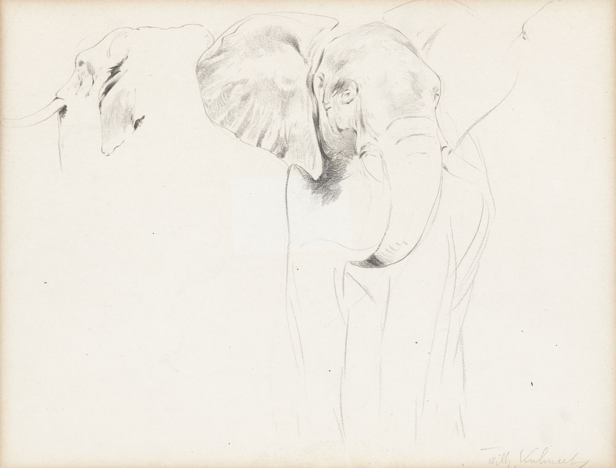 Elephant by Wilhelm Kuhnert, 1865