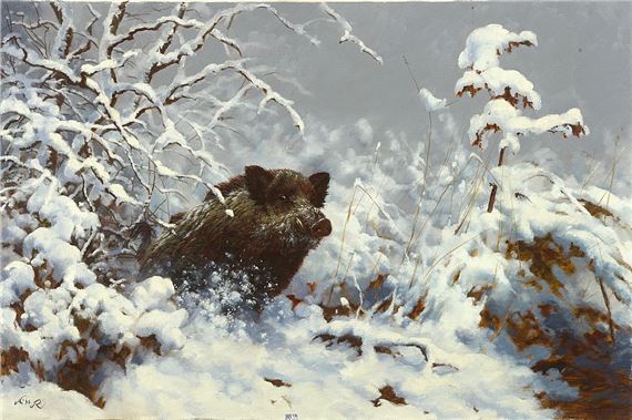 Sanglier dans la neige by Richárd Kiss