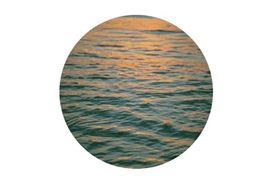Collective Exhibition 'Naturaleza Abstracta' Is on View at Xippas Punta del Este