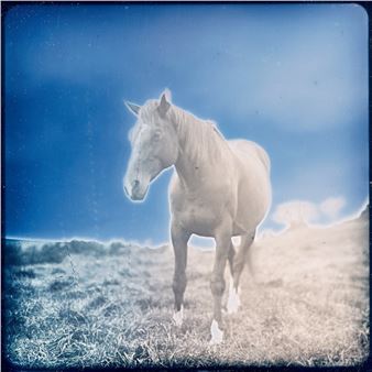 Tono-Forests Afar.Daguerreotypes By Takashi Arai - Purdy Hicks Gallery