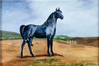 Black Horse - D Mccrea