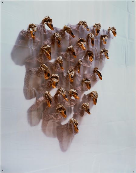 Croup by Boyd Webb, 1988