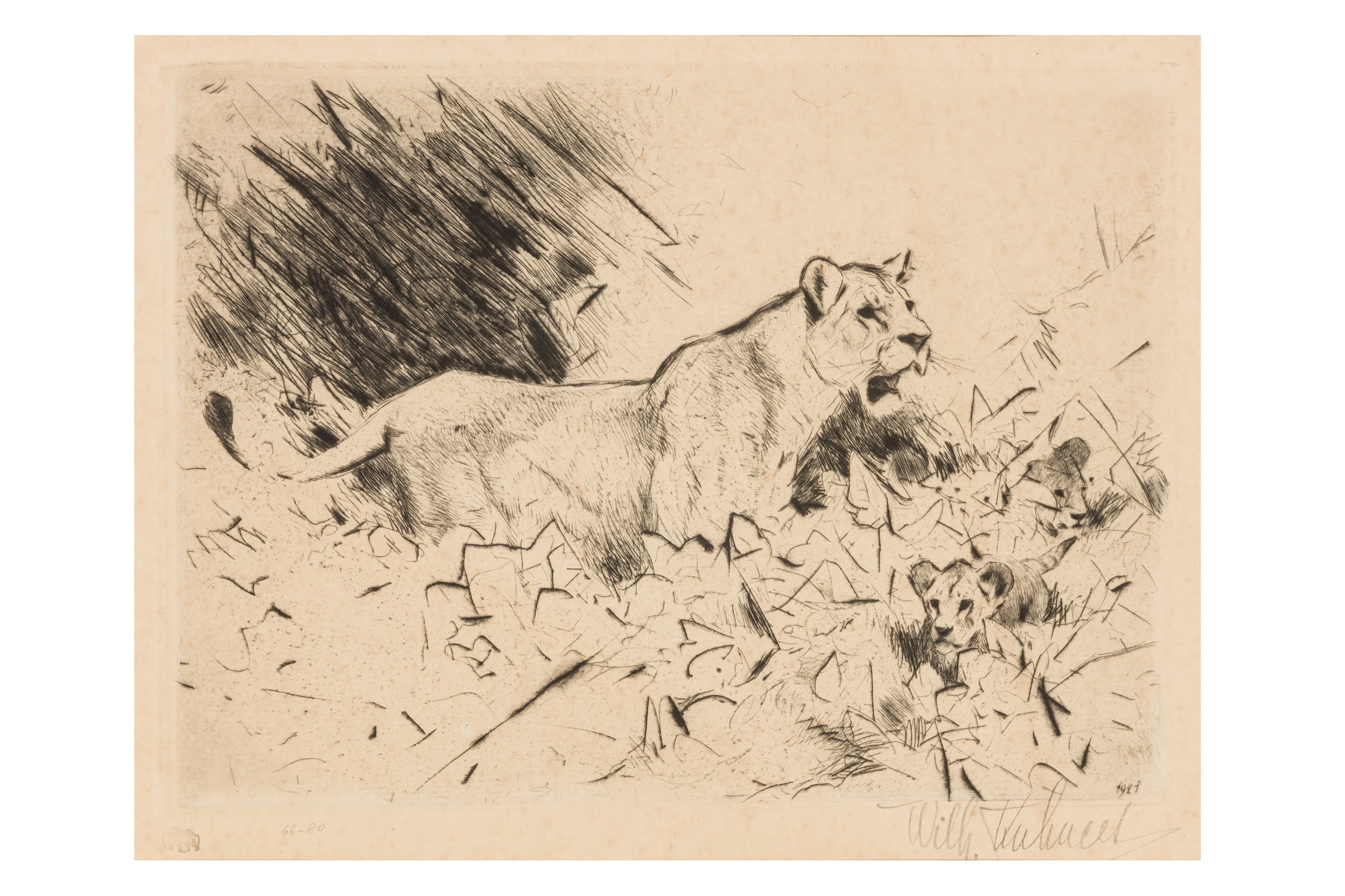 Lion and cubs by Wilhelm Kuhnert, circa 1927