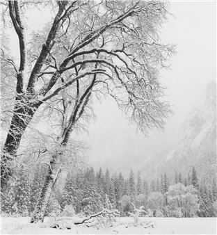 The Silent Season: Works of Winter - The Ansel Adams Gallery