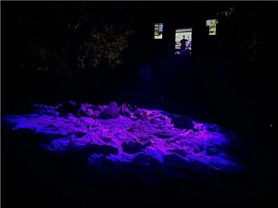 Suzy Sureck: Tread Lightly - WAAM, Woodstock Artists Association & Museum