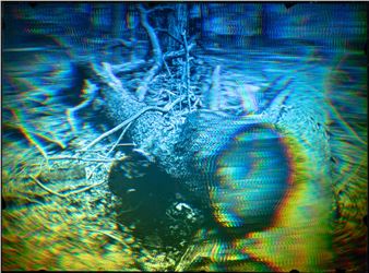 Matthew Schreiber: Possession: Experiments and Holography - Marlborough, New York