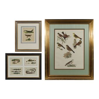 Hand Colored Copper Plate Etching Assortment - Jacob Nilson