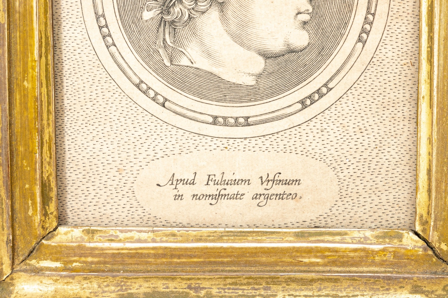 Artwork by Theodor Galle, Fulvio Orsini, Fulvius Coin, Made of engraving