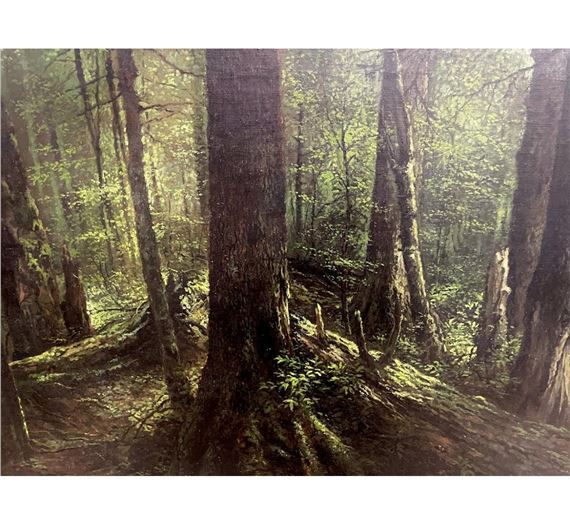 Lesní interiér by Ludek Pesek