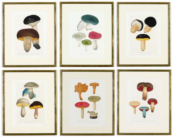 Mushroom, a rare set of six  from by Joseph Roques, 1864