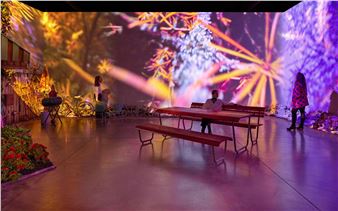 8 Must-See Solo Gallery Shows Across America in January