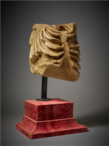 French School, 15th Century | Skeletal Rib Cage (15th Century) | MutualArt
