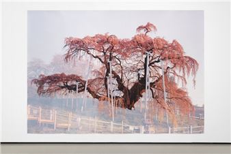 HERE AND NOW at Mu­se­um Lud­wig: And Yes­ter­day and To­mor­row - Museum Ludwig, Cologne