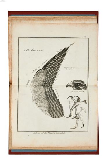 Falconry.- Huber (Jean) Observations sur le vol des oiseaux de proie, first edition, Geneva, Paul Barde, 1784 - Jean Huber