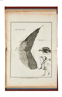Falconry.- Huber (Jean) Observations sur le vol des oiseaux de proie, first edition, Geneva, Paul Barde, 1784 - Jean Huber
