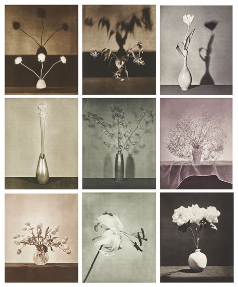 Robert Mapplethorpe | Flowers (1983) | MutualArt