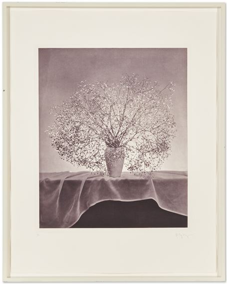 アート・デザイン・音楽 FLORA Mapplethorpe Mapplethorpe Flora - Philadelphia Museum Of Art Store
